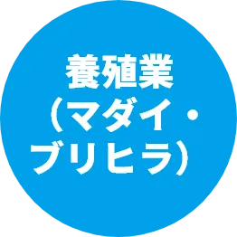 養殖業（マダイ・ブリヒラ）