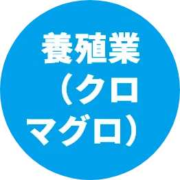 養殖業（クロマグロ）