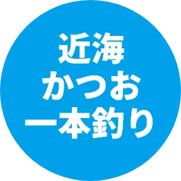 近海かつお一本釣り
